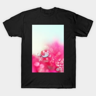 A Drop with Raspberrys and Cream T-Shirt